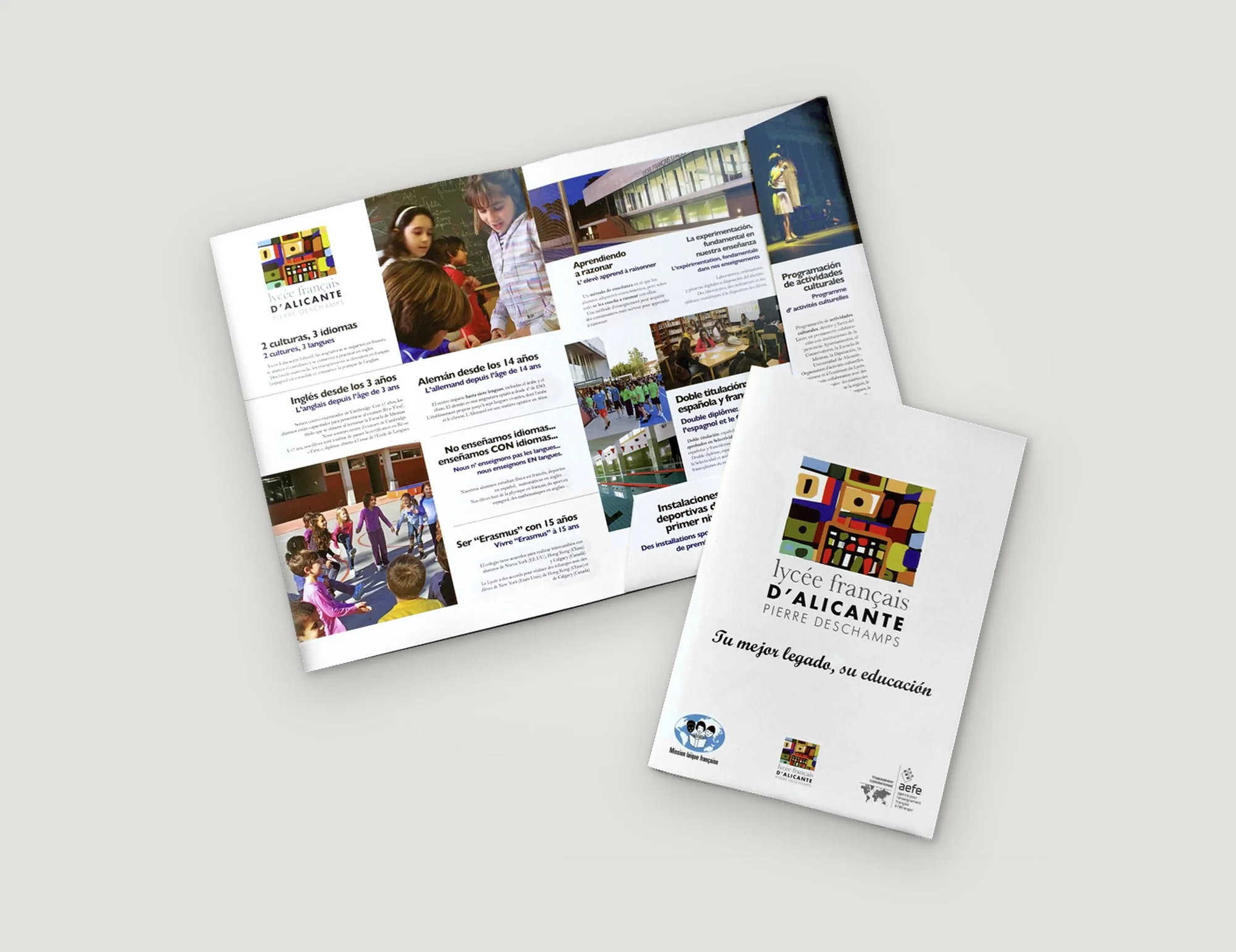 Lycée Français d'Alicante — portal web, vista general